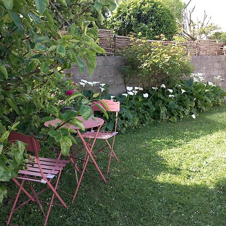 Maison 3 Etoiles Proche Des Plages Pont-lʼAbbé Dış mekan fotoğraf